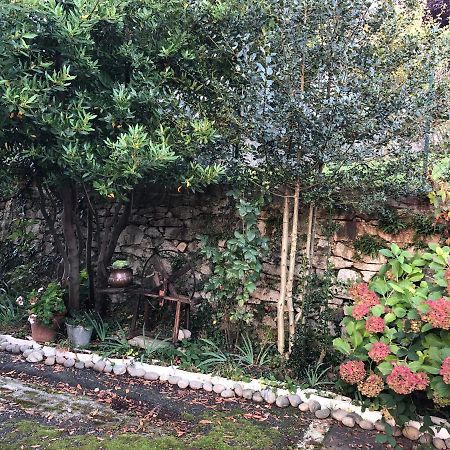Trivero La Casa Verde B&B المظهر الخارجي الصورة