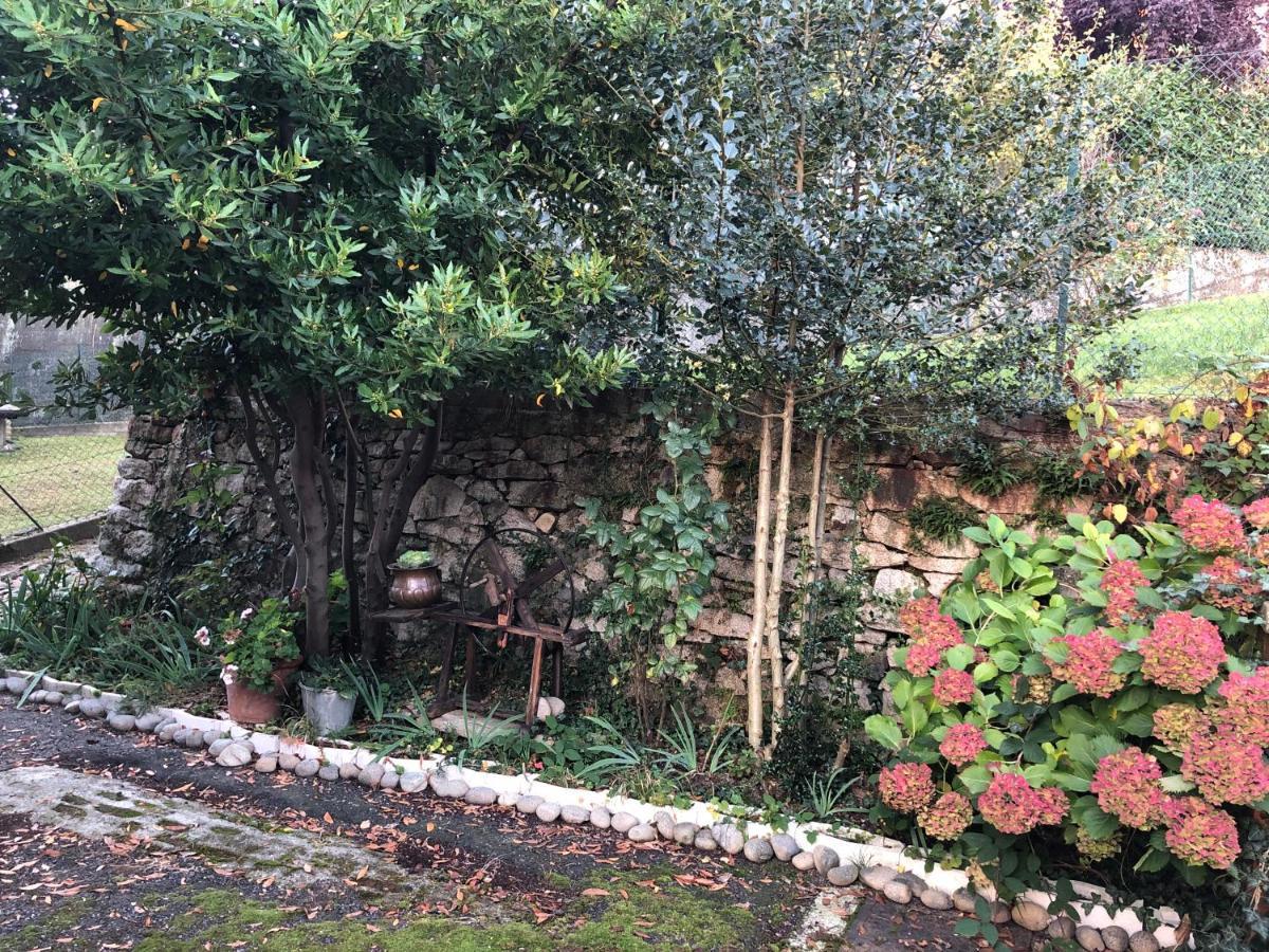 Trivero La Casa Verde B&B المظهر الخارجي الصورة